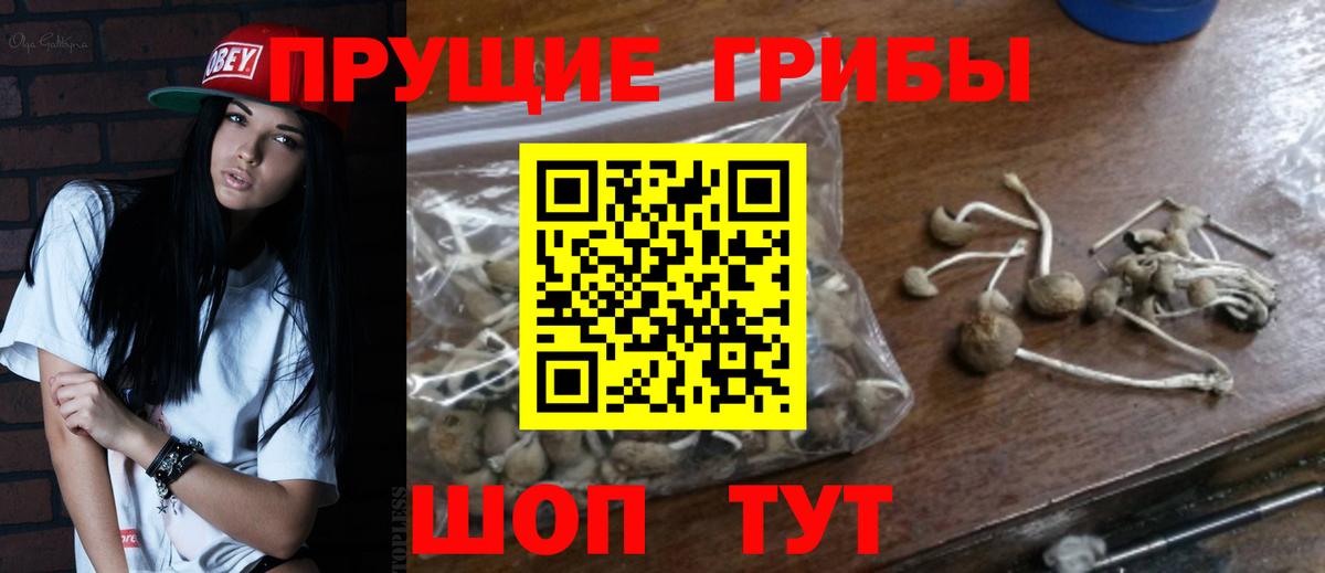 Евпатория  Галлюциногенные грибы прущие грибы  Псилоцибиновые грибы Cubensis  наркотики  Вход с VPN 