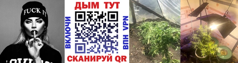 закладки  Евпатория  гидра маркетплейс  Бошки Шишки планчик 